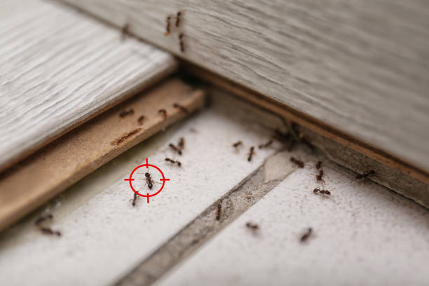 Best Commercial Pest Control Services  in Plainsboro Center, NJ