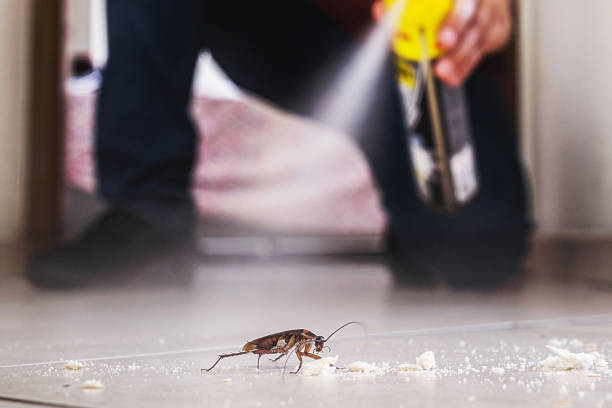 Pest Control for Restaurants in Plainsboro Center, NJ