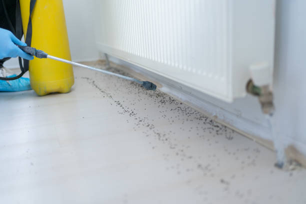 Best Local Pest Control Services  in Plainsboro Center, NJ