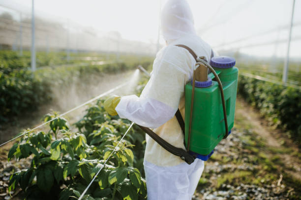 Wildlife Control Services in Plainsboro Center, NJ